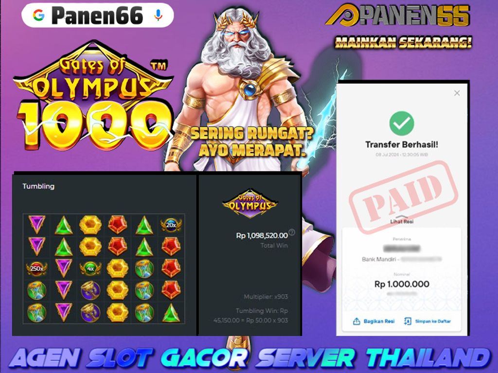 Testi P66 8 juli 2024 1