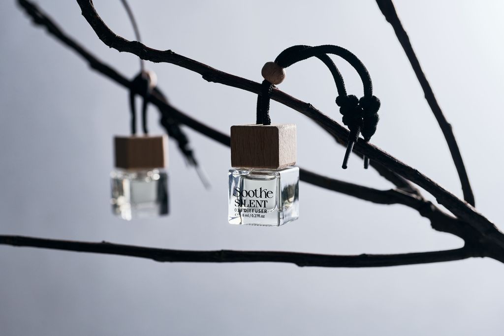 20241209 Soothe115105