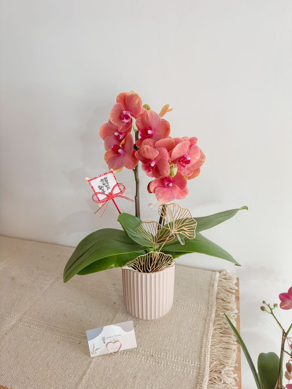 IMG_0134-1735730675941