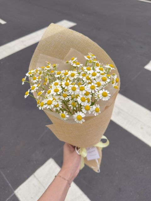 image_2159DAFA-8EAC-4CB6-8746-956CAD7845A1_1776016118