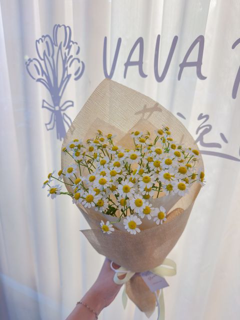 image_2B4B0297-D408-4744-B304-2872D65B0B07_1776016356