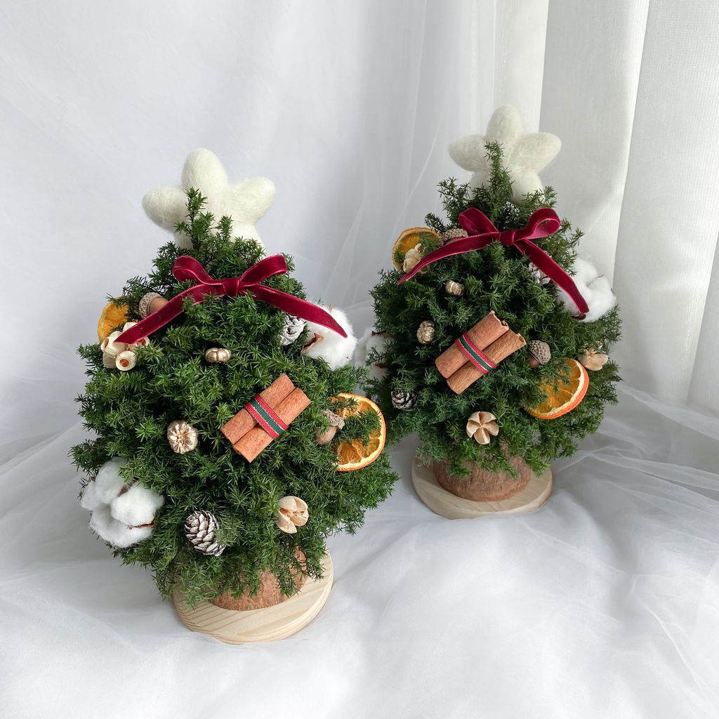 IMG_9616-1730306245763