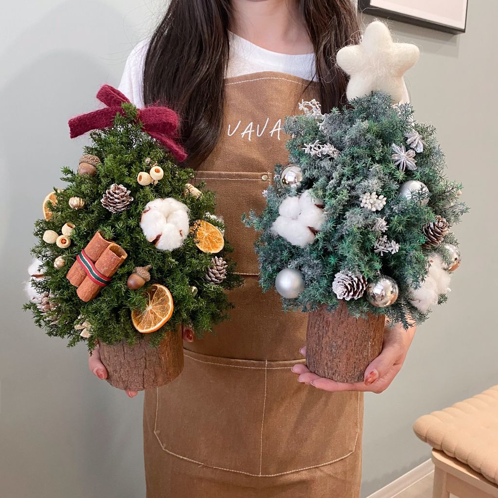 IMG_9462-1730306246211