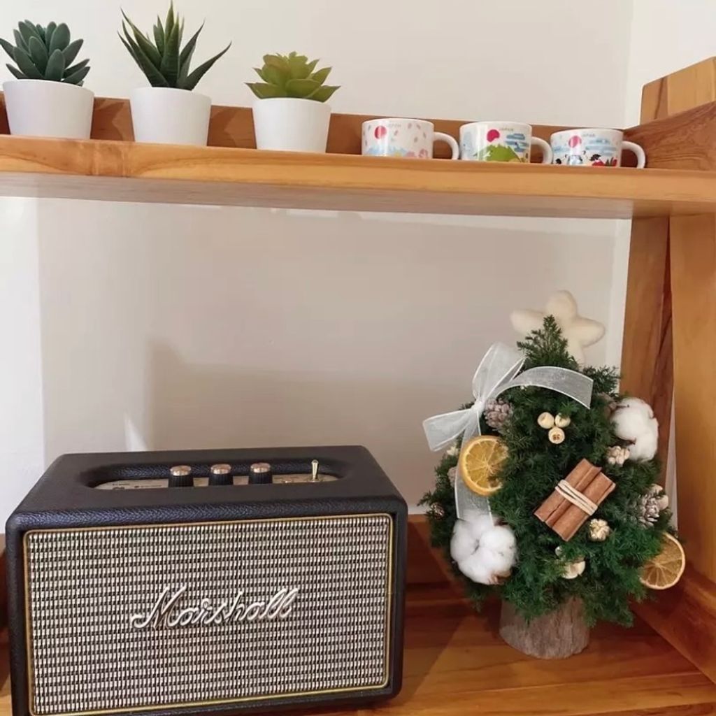 IMG_9046-1730306245782