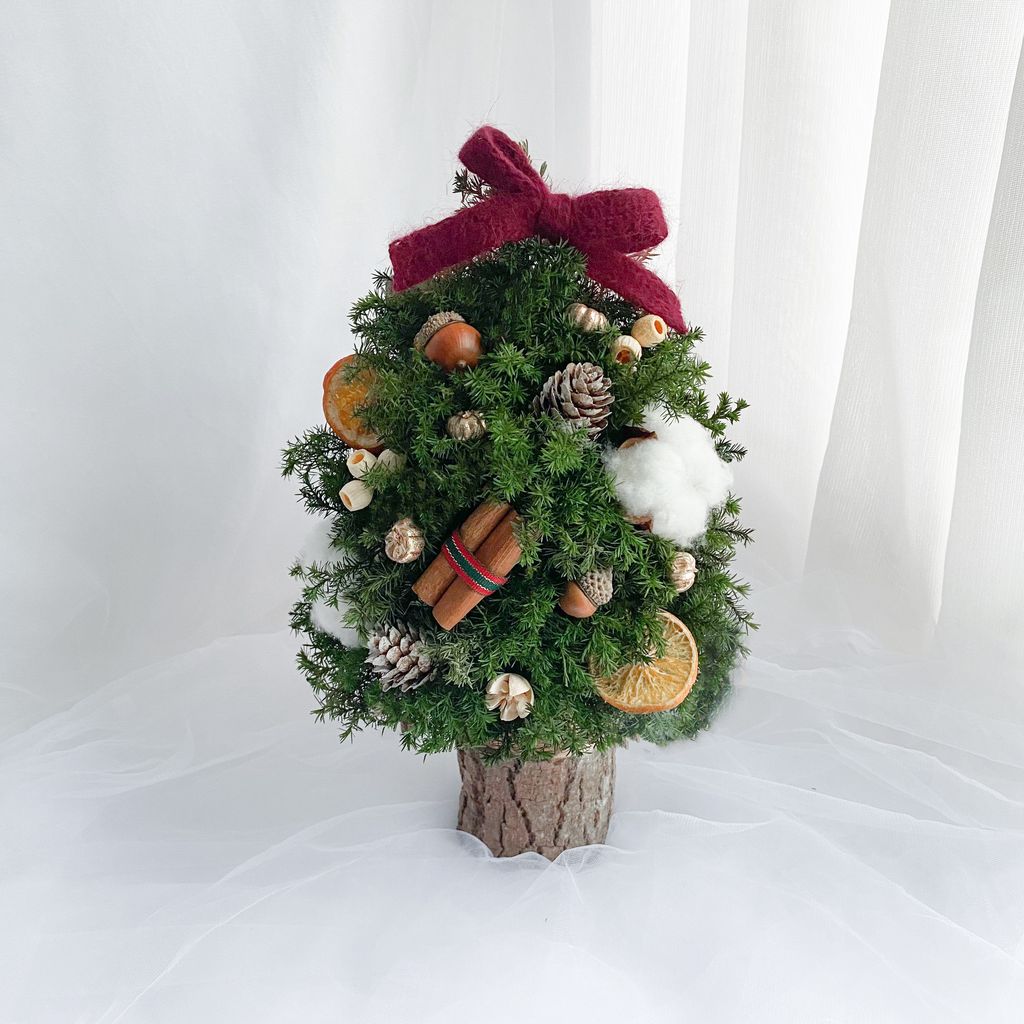 IMG_7683-1730306338885