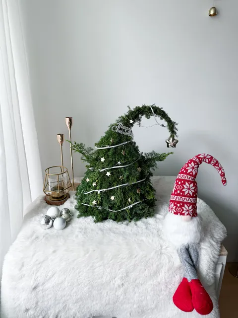 IMG_0279-1731037117285