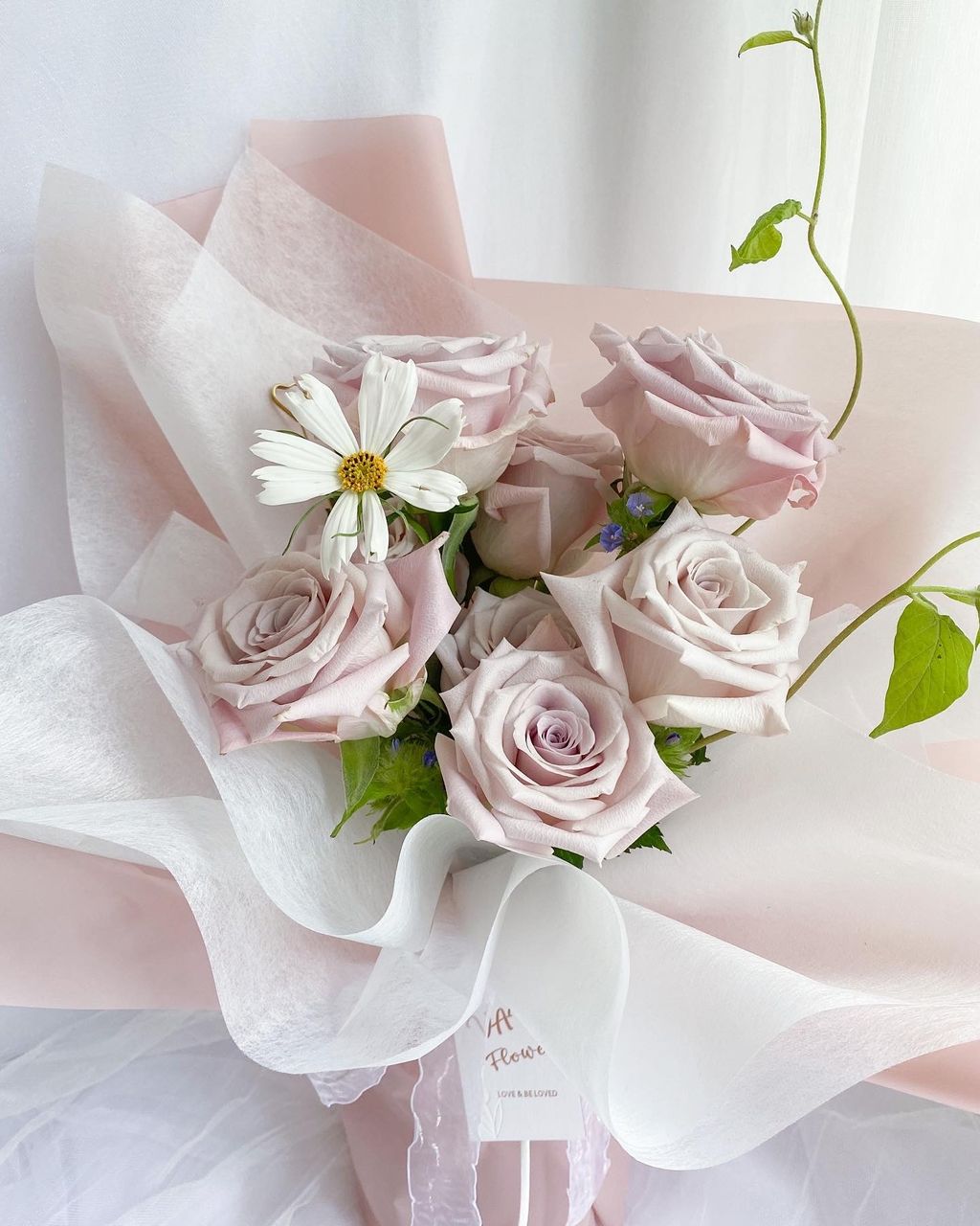 image_5D85482E-AE55-4423-8D03-AE95FE7C0B79_1754401340