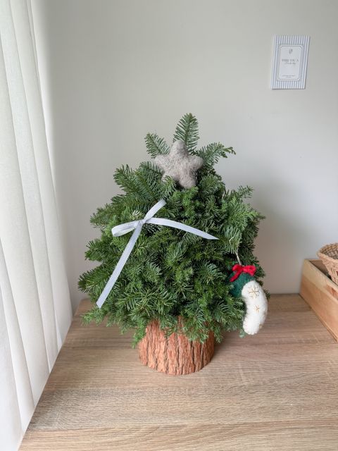 image_BFAB2702-C741-42DE-A484-BA44A5F3E66B_1764004346