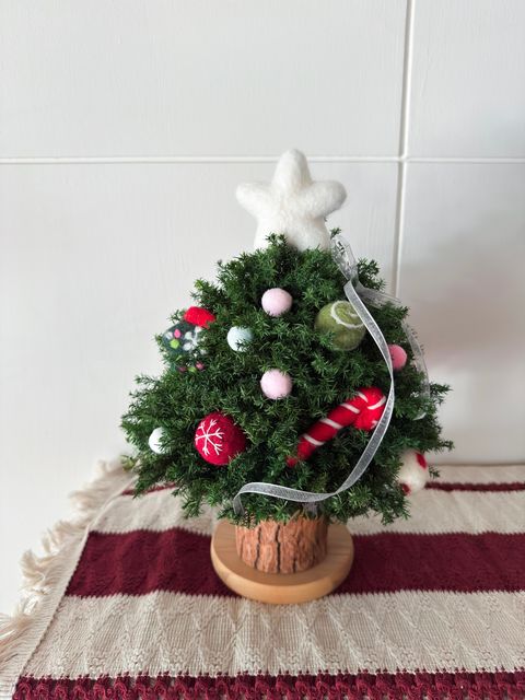 image_3DCDDDD9-CC58-4C65-954E-2A4A9BAB336D_1764004472