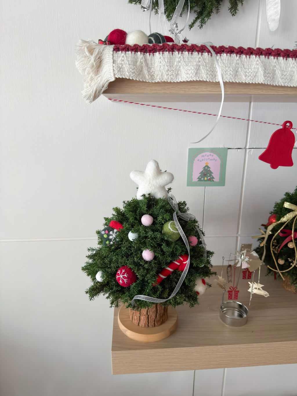 image_7DBE07EA-F725-4FFF-B297-74B406877743_1764081048