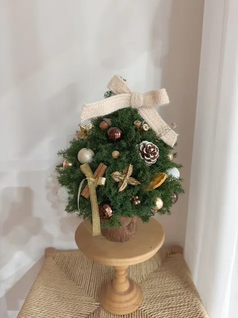 image_2131CDE1-EBF3-4B52-9566-5422259FAF91_1764091019