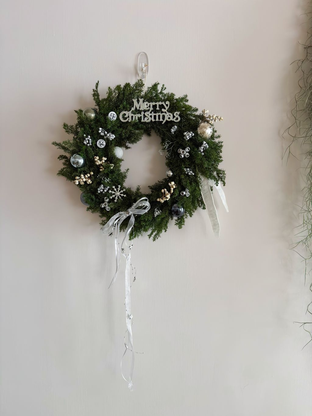 image_B34E5C09-E487-4FEE-8D05-CE6BCC7054FA_1764176127