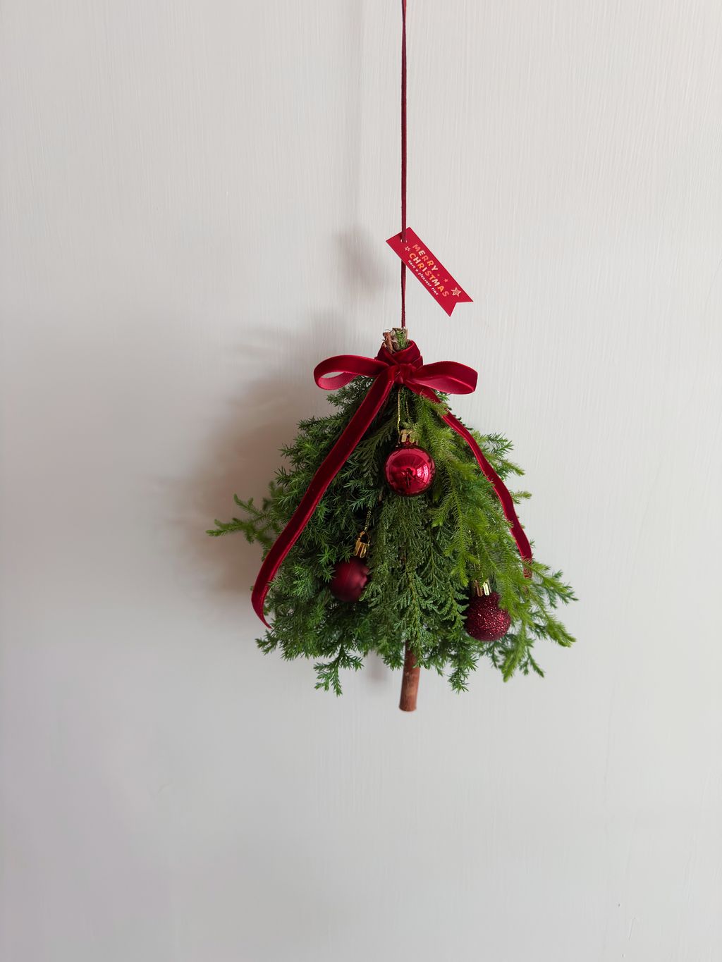 image_F5A786B9-073D-45E6-8D53-E525D2384BF2_1764263090