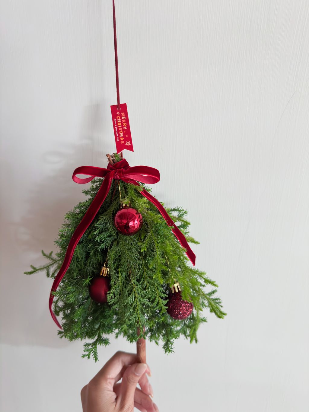 image_E91DA4A8-CF32-49E8-8C83-DA5AD2569756_1764263090