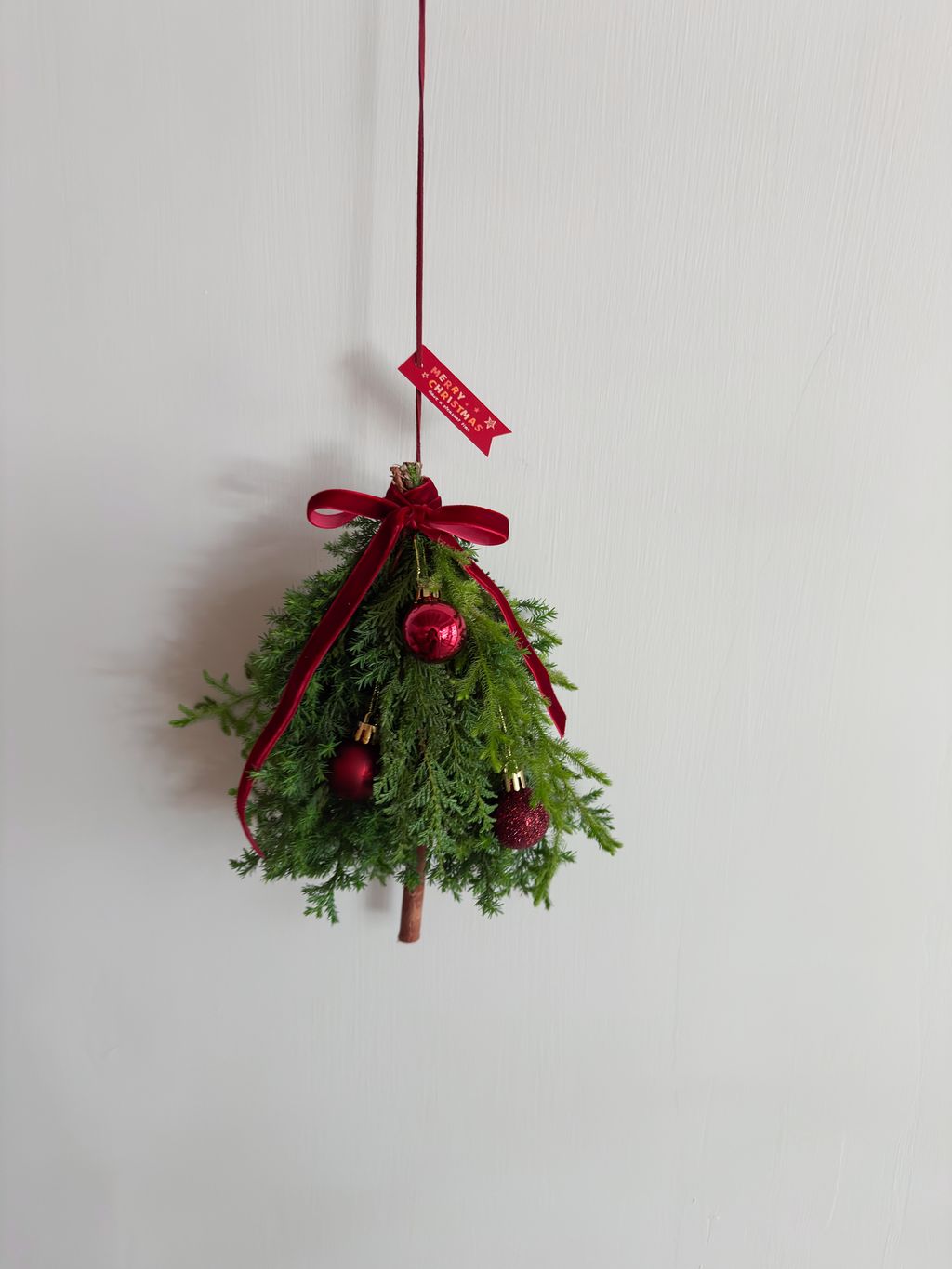 image_552BA101-5358-4FDE-A4D8-99AF4F963122_1764263090