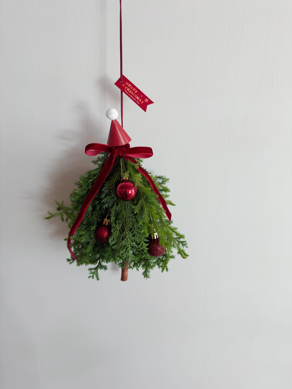 image_FF973A9A-FE6E-47EF-8929-50B725126396_1764263905