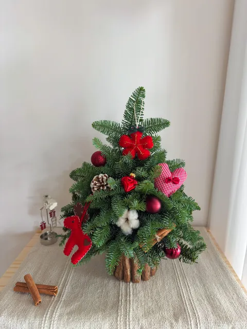 image_937DC554-A4FF-4136-A608-148E4E20C027_1764264716