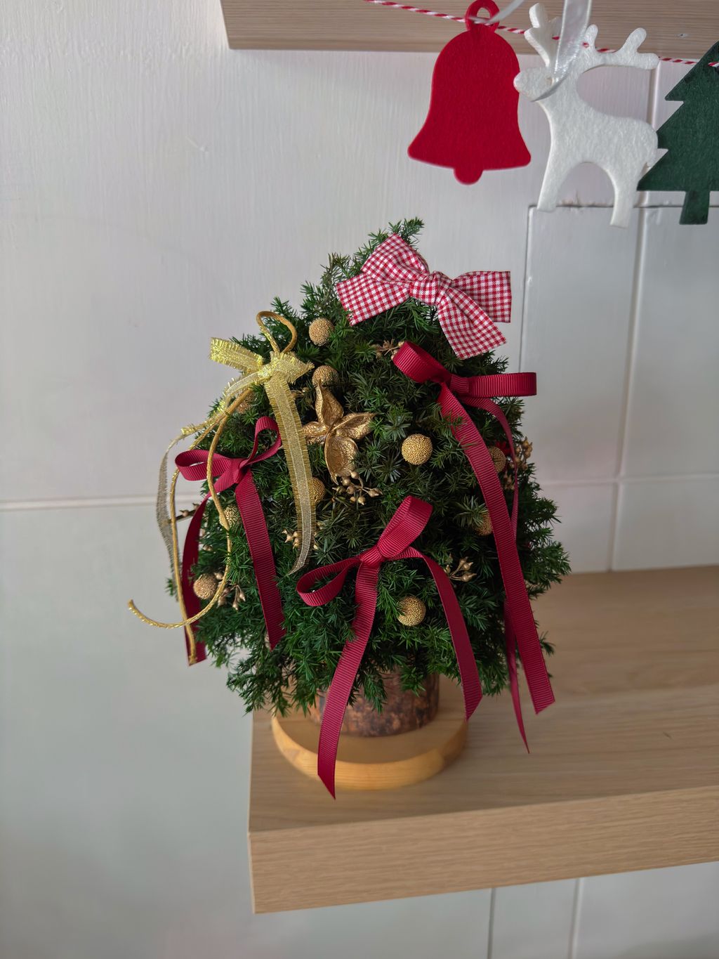 image_C2A014D4-61DF-4440-A966-AA74D38FD58D_1765380806