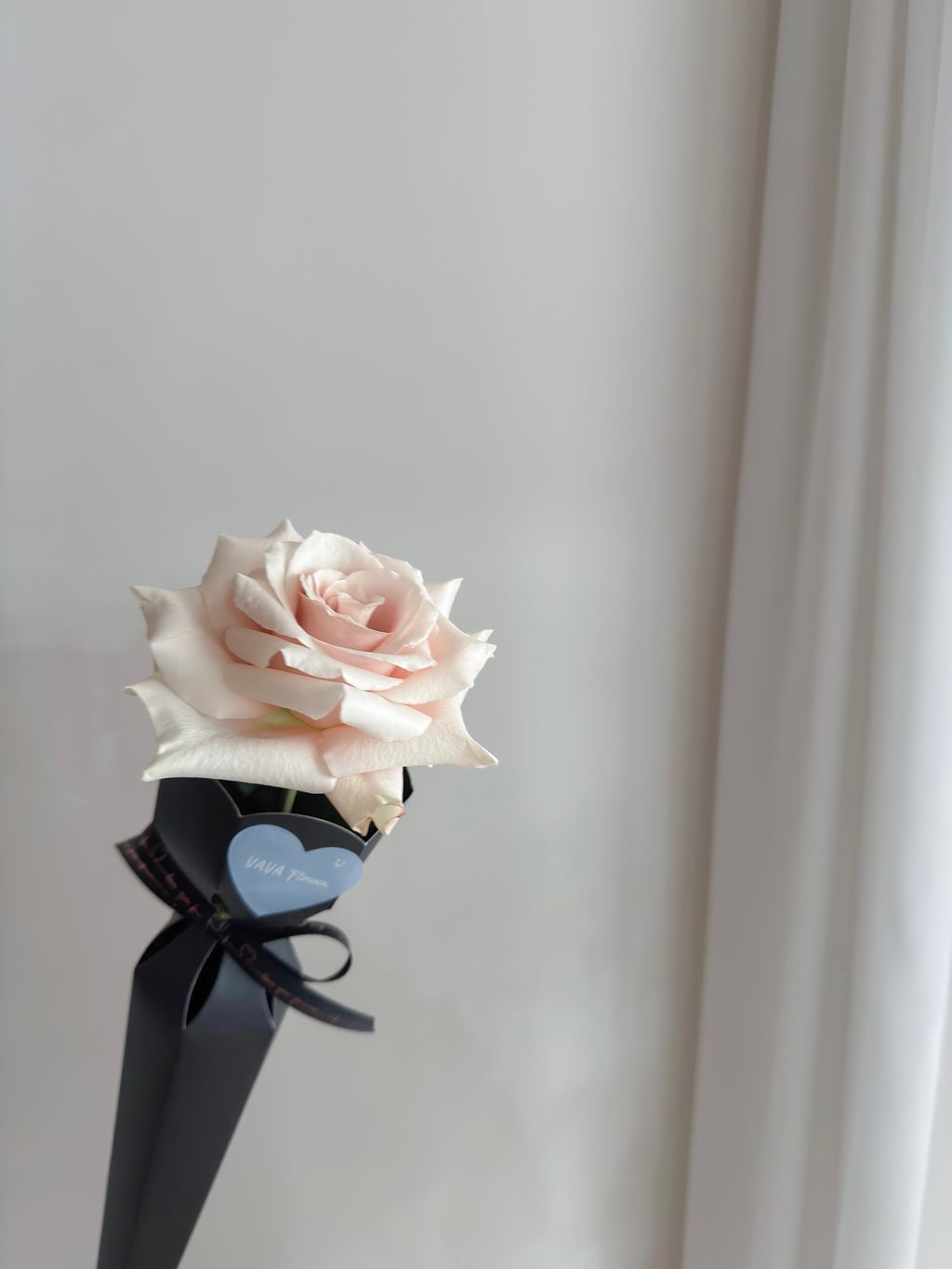 image_C22F672C-83C8-4DA6-82E9-0CE2E86613A7_1767884399