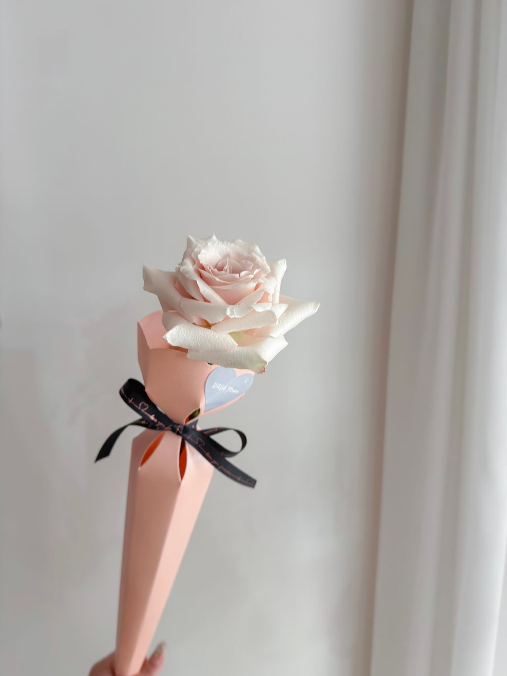 image_E2C730CA-54D7-439E-835F-C2E097B4C6DE_1767884399