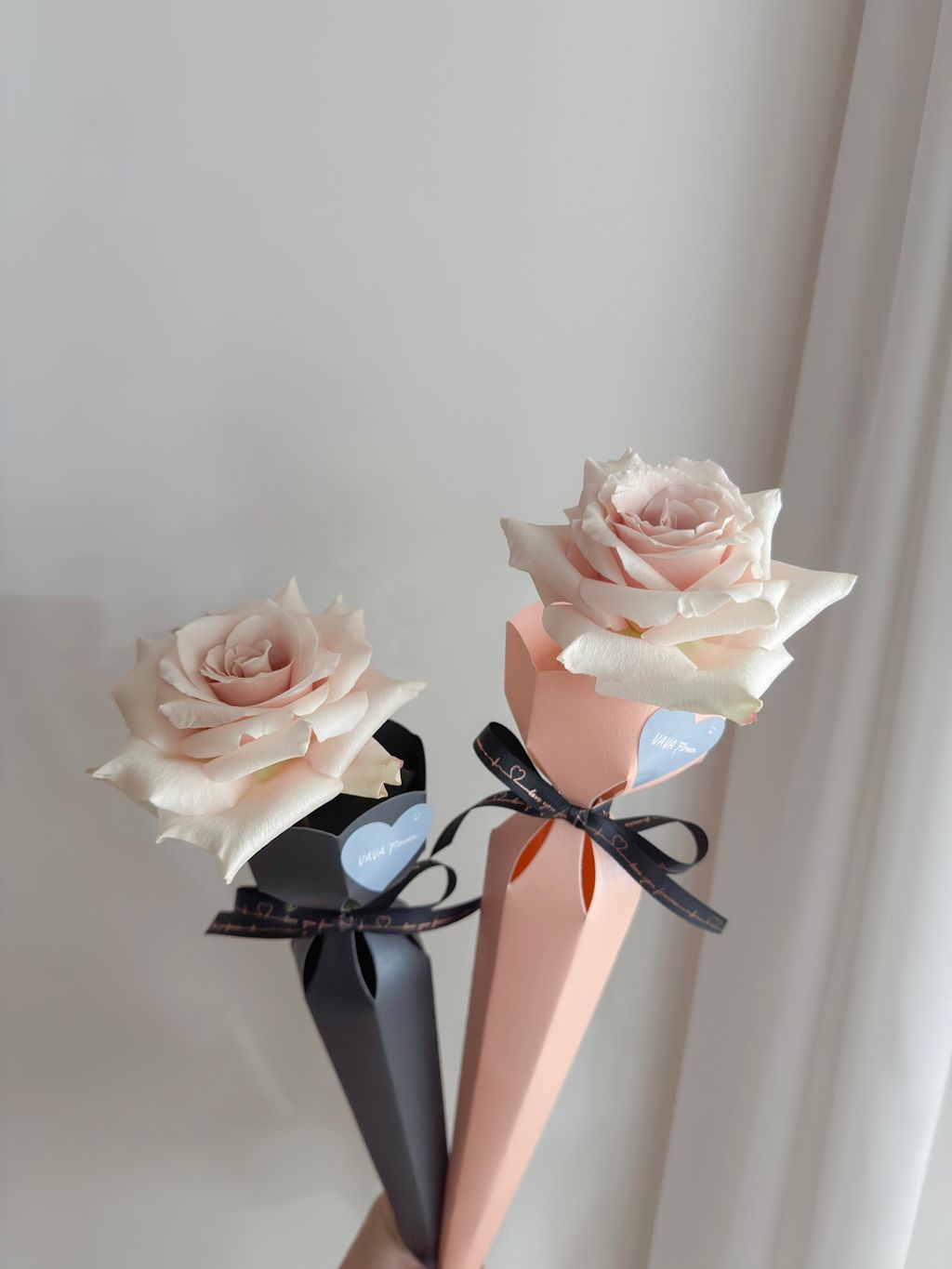 image_608A00A2-F8CF-4929-86FD-B0467A8960B0_1767884483