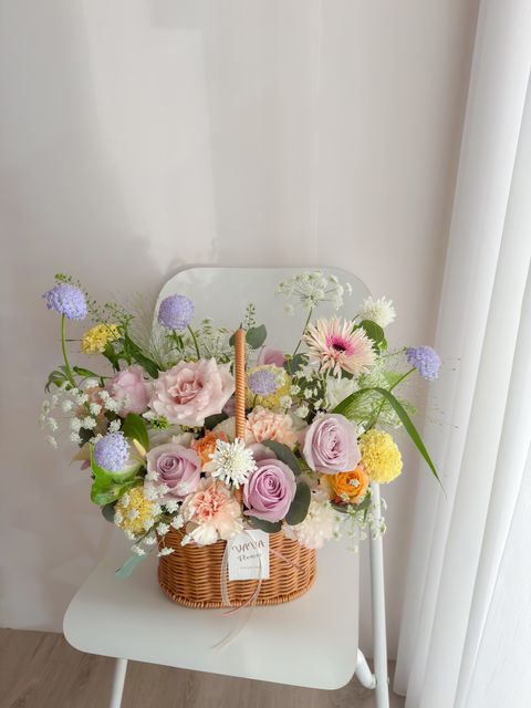 image_6C9DC0D8-830B-456F-AE2A-F8056EE9D493_1768141910