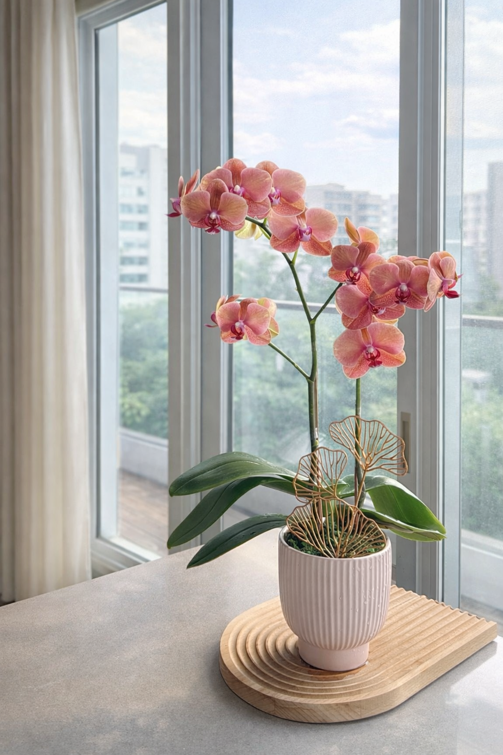 image_78D36308-02D4-436F-ACDE-79CDEBEB72ED_1769783559