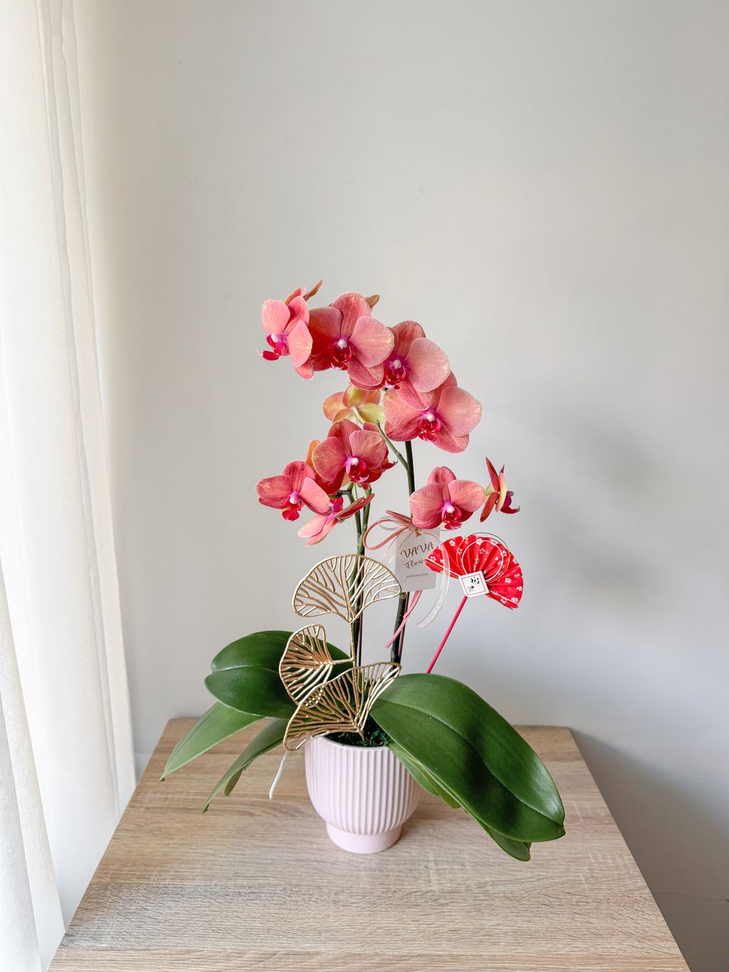 image_FA7F5995-6520-439A-B2AD-FF6B5E567005_1769783559