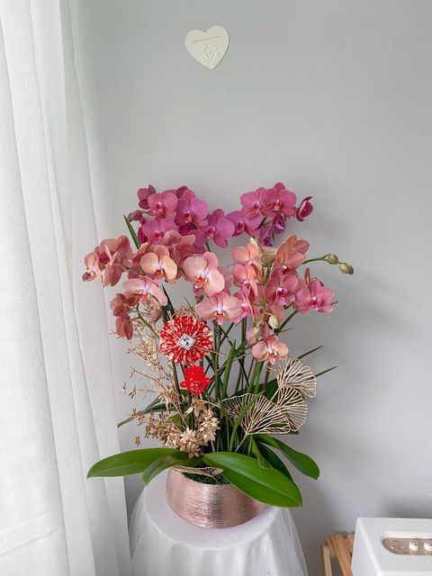 image_E7EF5B5F-7A9C-47EC-A13F-A924811DEEB4_1770573334