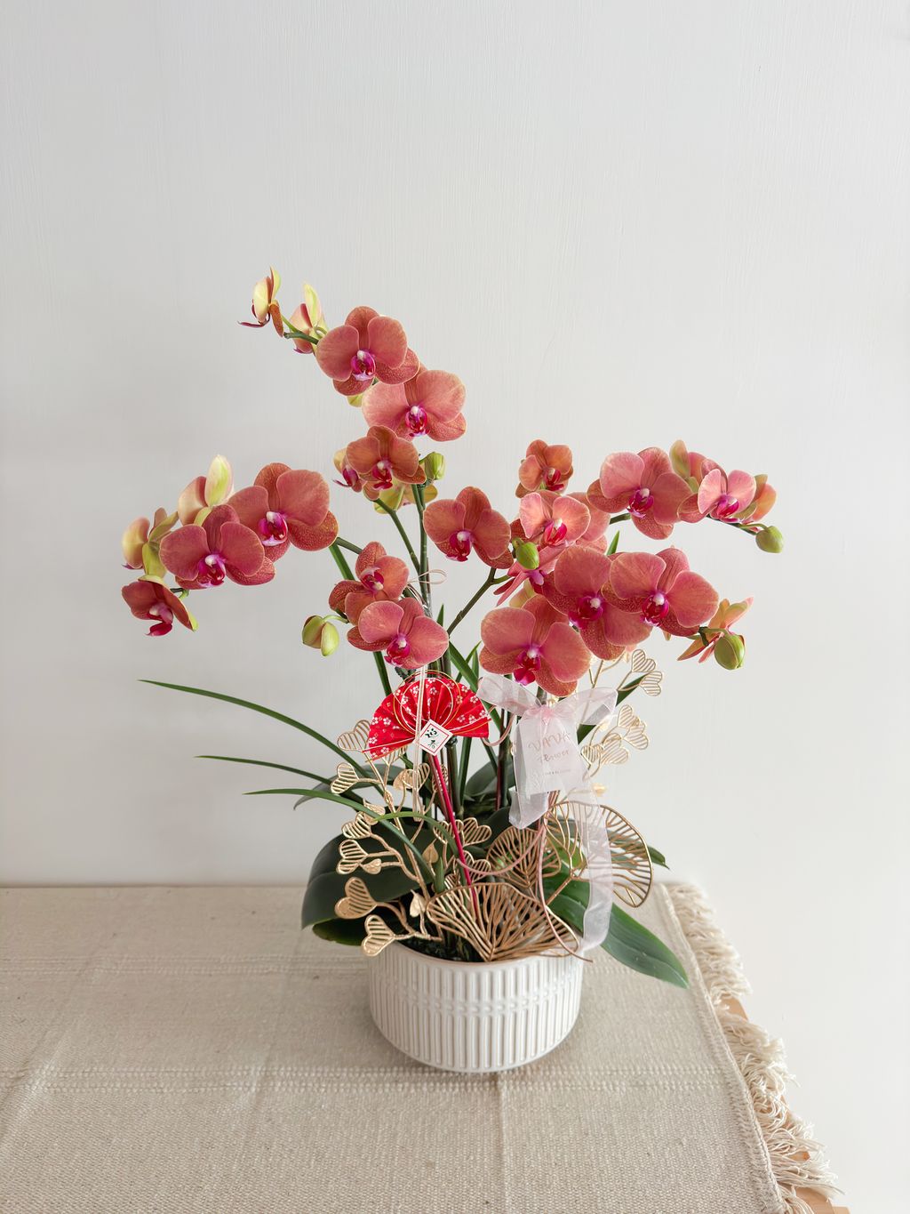 image_B00A687E-9F11-4030-B901-1577FD17681C_1770573700