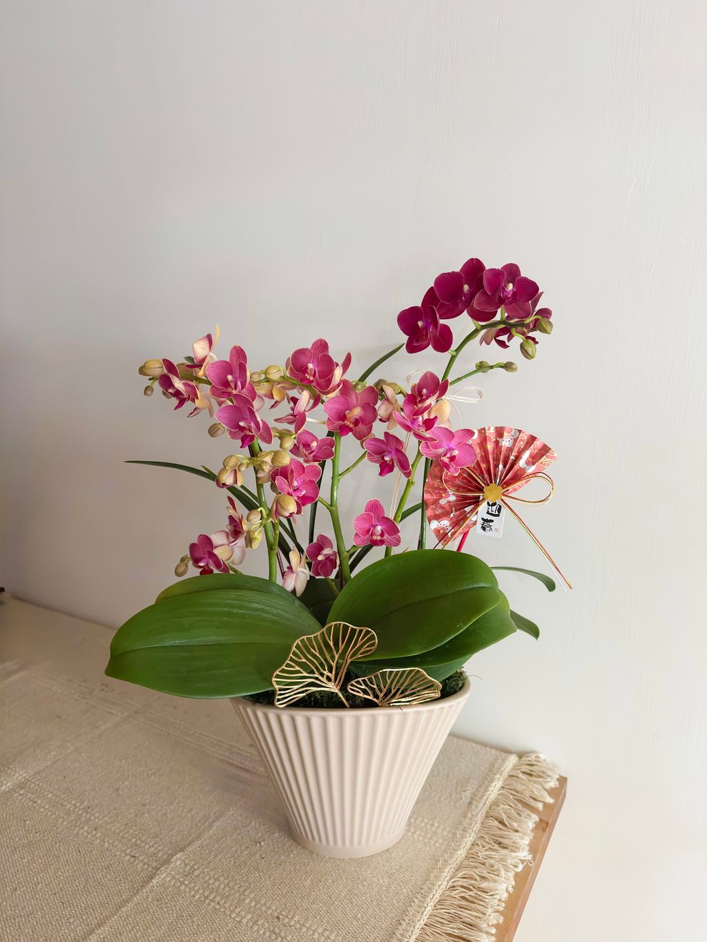 image_939A8DC0-D0D8-40EA-8957-898545141BE9_1770573724