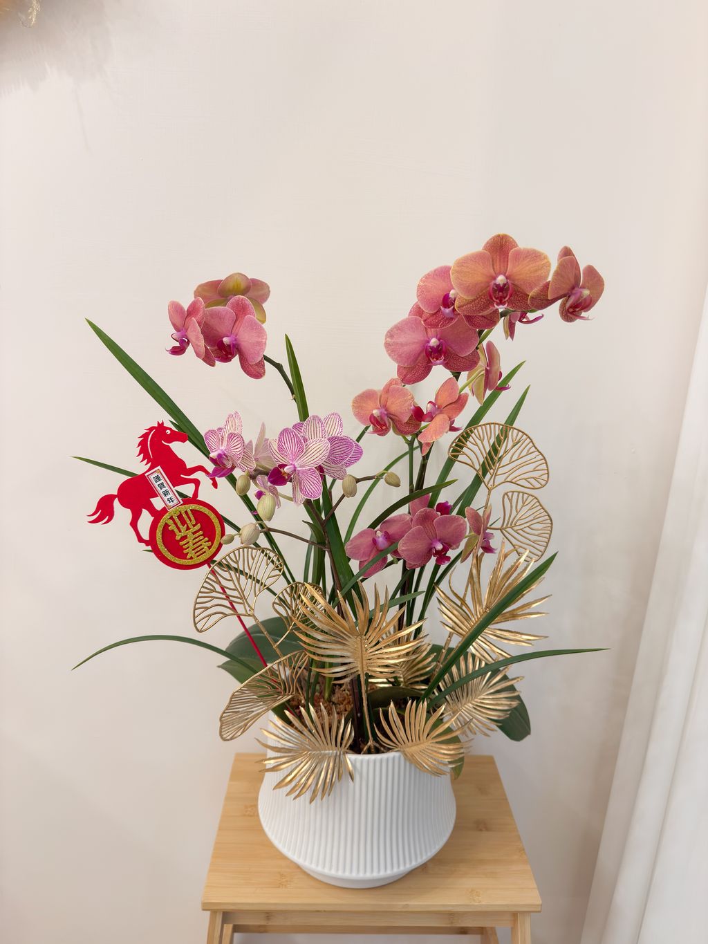 image_DD19CEC9-9B83-43AE-B476-7D07737C6F5F_1770573764