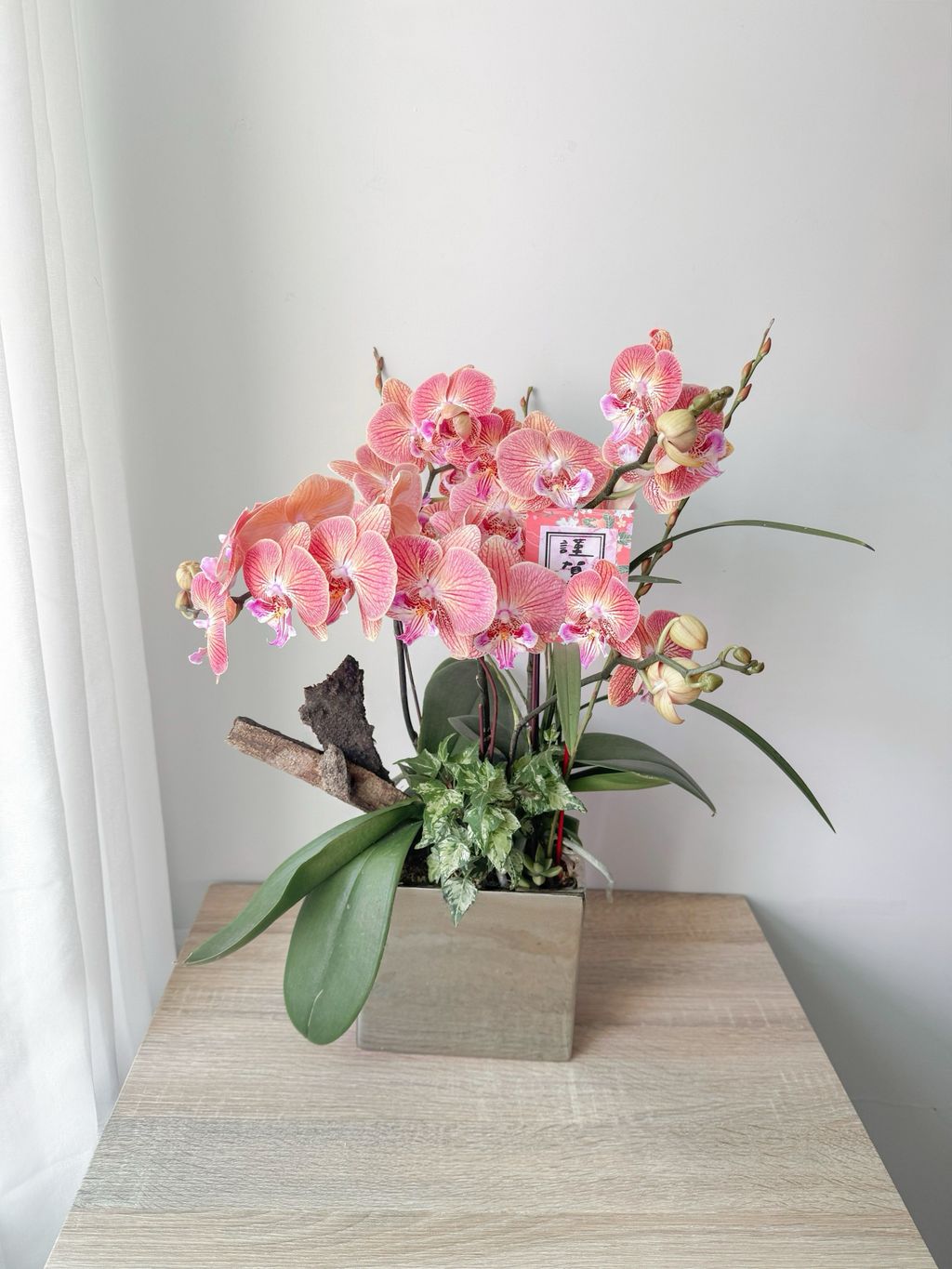 image_00EE4E0E-8133-4E5C-86DE-A26EE8592AA7_1770573765