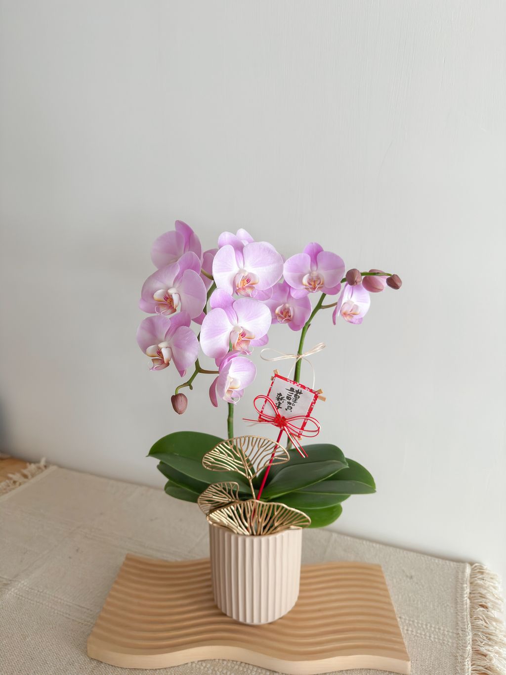 image_1D12C6B7-B358-4F2E-B601-6698A33CD9E5_1770574282