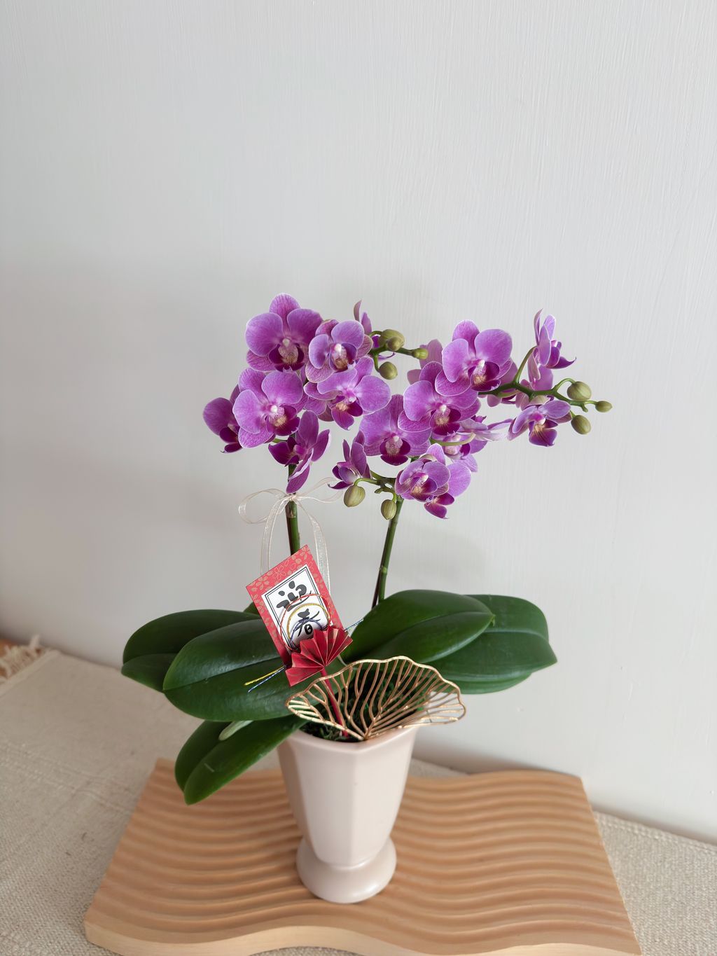 image_5BFD0F2E-1AE1-4C1B-B524-491D3BEBEAAB_1770574387