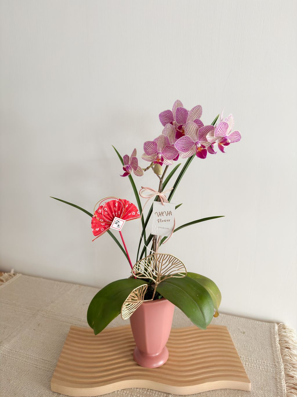 image_BBB6359C-D59E-4D3E-B51D-858C864DDFD9_1770574440