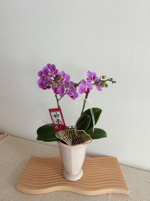 image_9105C5C7-977C-4C52-82D5-92163058E3D4_1770574586