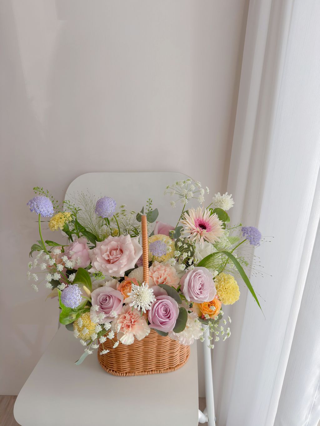 image_24C48C46-8ED0-4C80-9E1F-FE24FBFD3A2E_1771944133