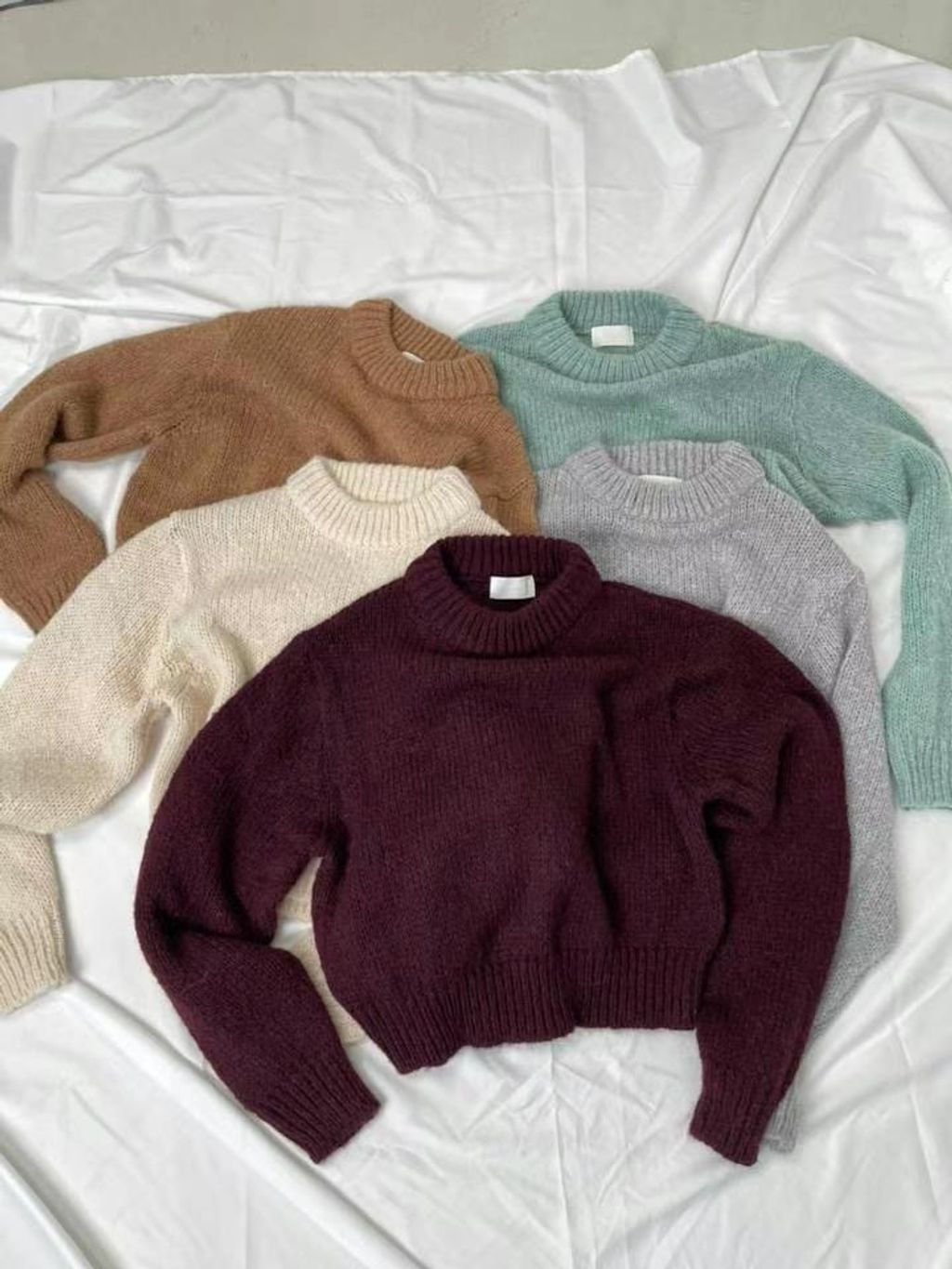 IMG_7350-1737570164748