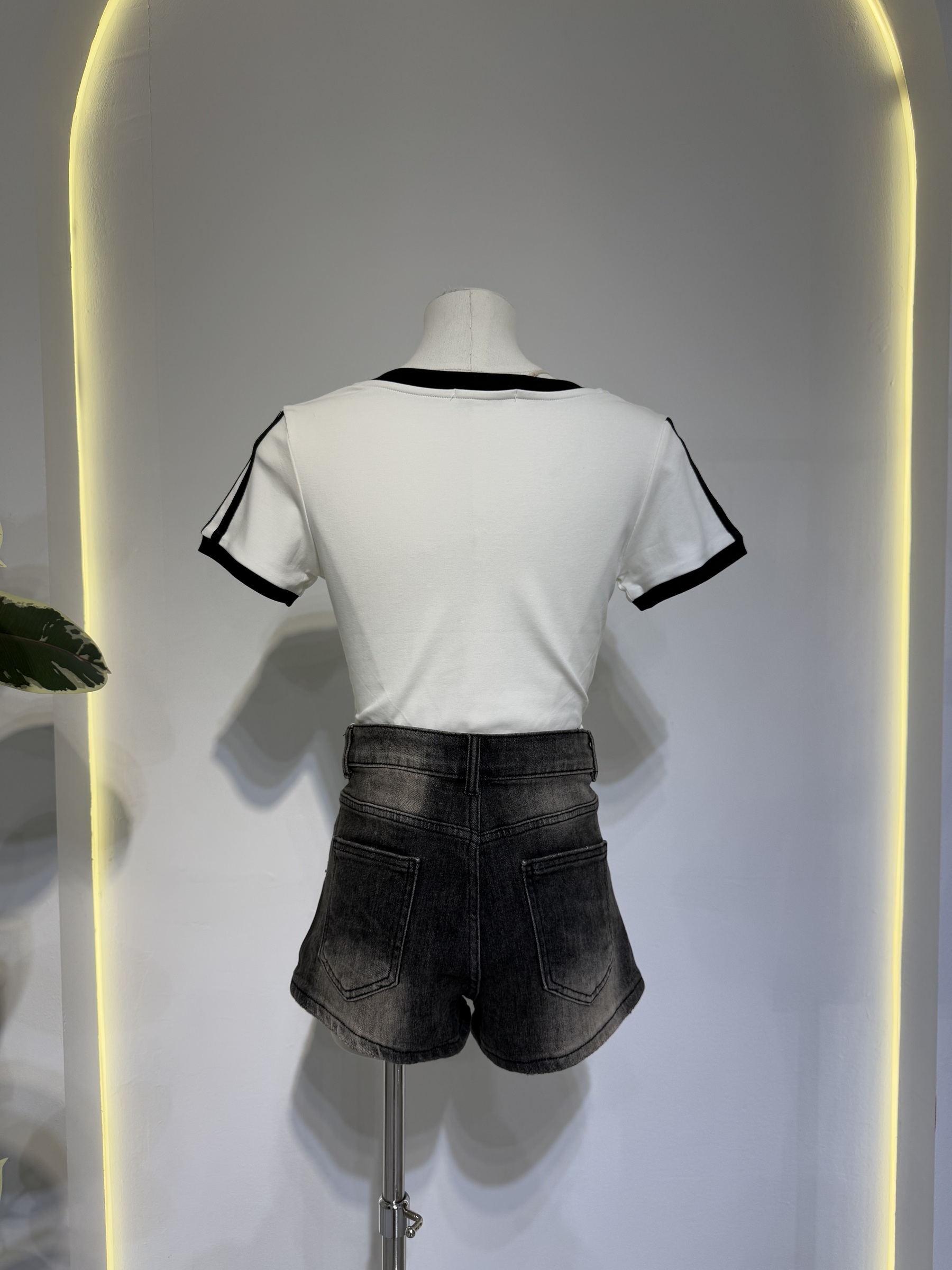 image_06028C31-78AC-4091-8C31-A5E6A1424773_1767938490