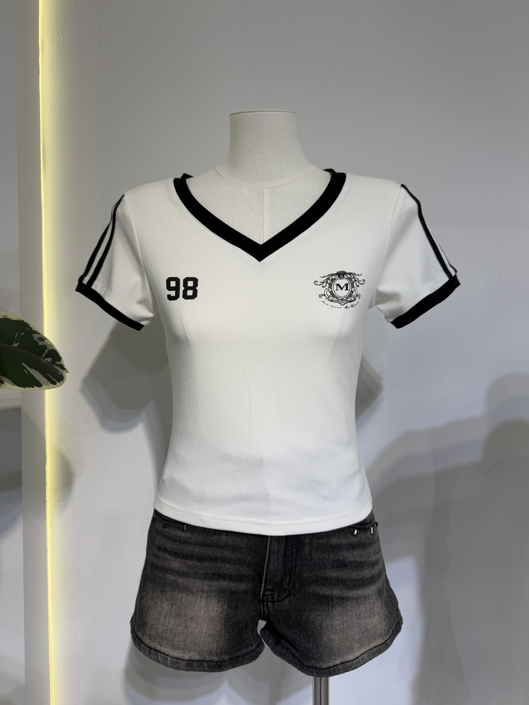 image_977E9958-B8E6-4E92-83F7-9CF105EAE3DE_1767946770