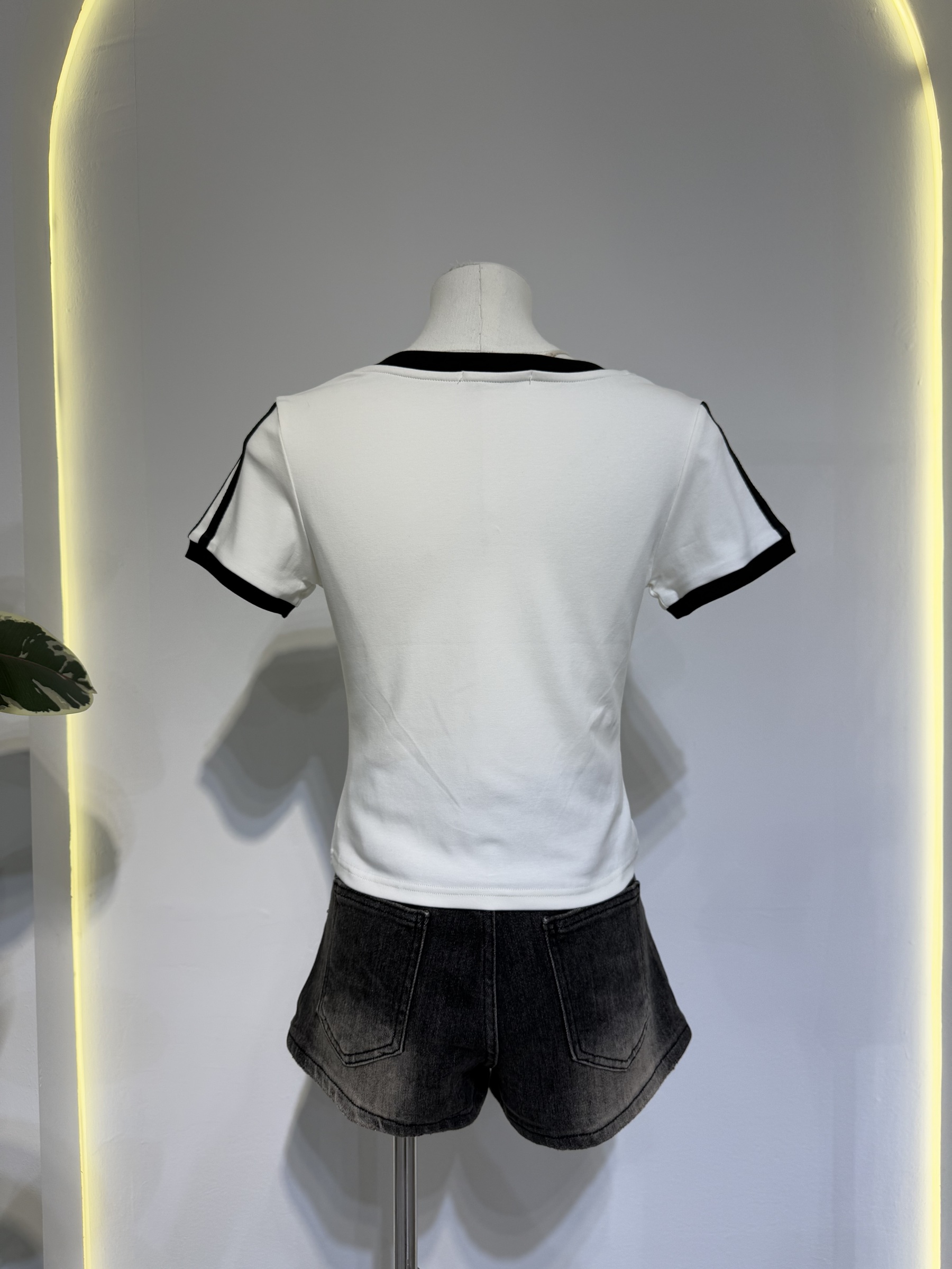 image_0A84DD6E-D190-4994-BBFF-8049D589F494_1767946770