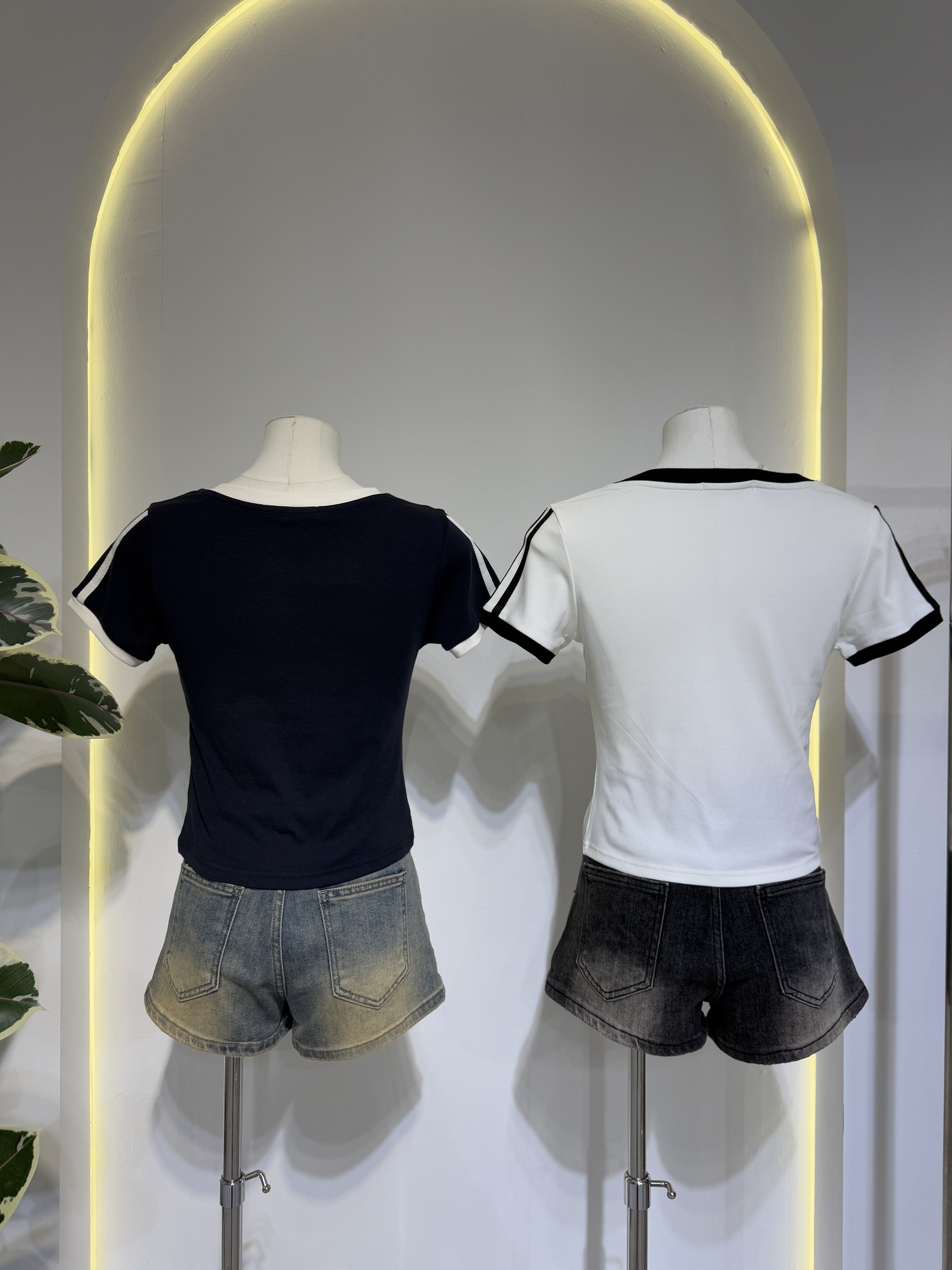 image_3B3F9D7E-C3FF-4B08-B0B5-FE755F9EA80F_1767946770