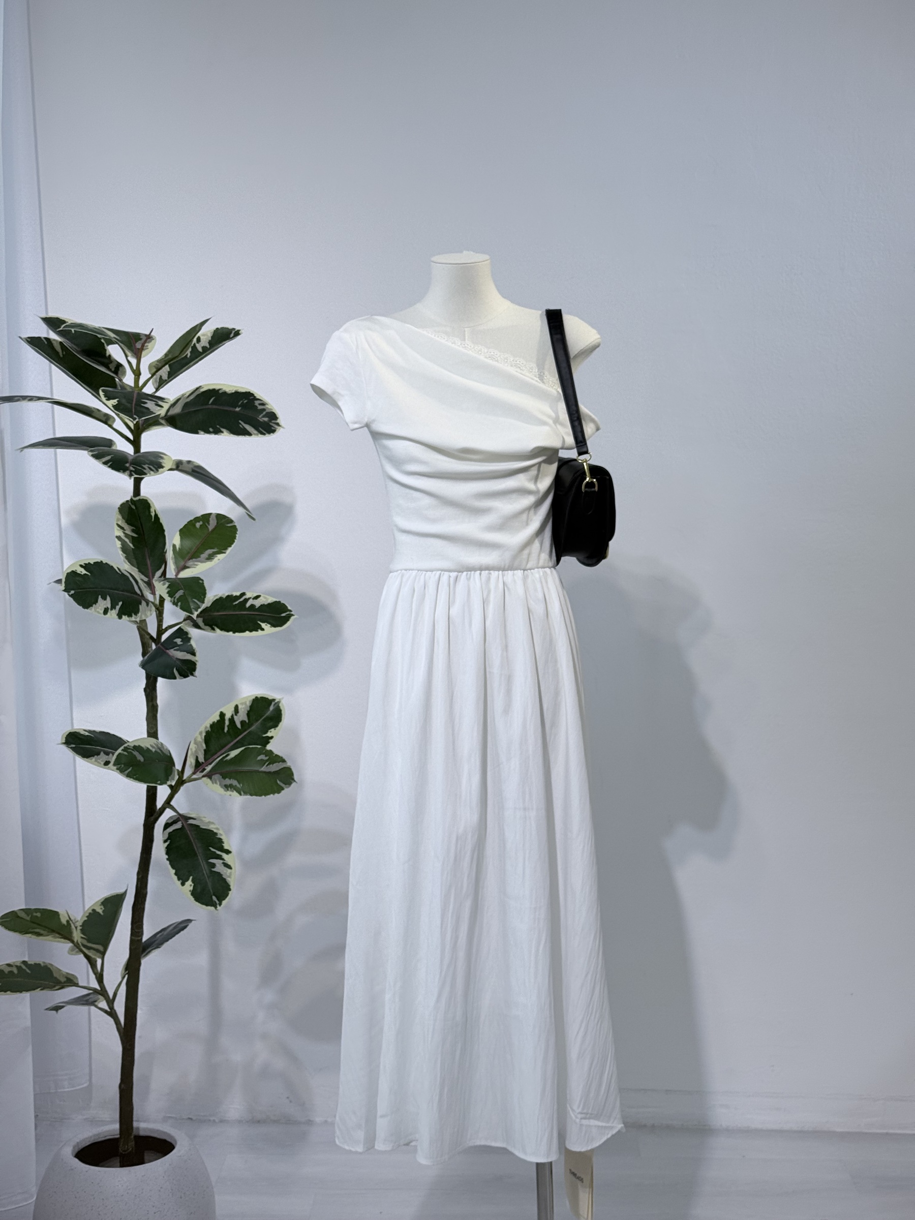 image_29403624-A4A5-487B-A103-8CFB5058BB99_1769758275