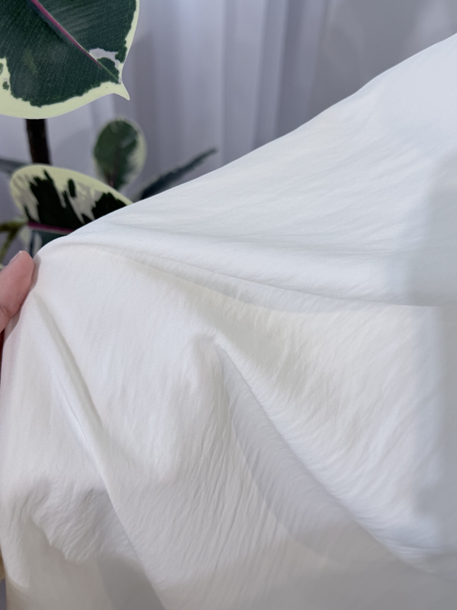 image_805742AF-48EC-4957-96B6-F30D7F90B7D9_1770025047