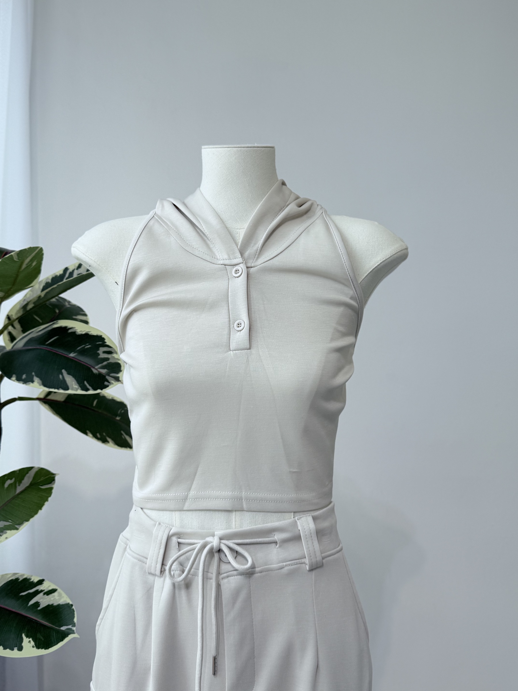 image_A23DE466-913C-4521-B4C4-01D00D150C55_1770096000