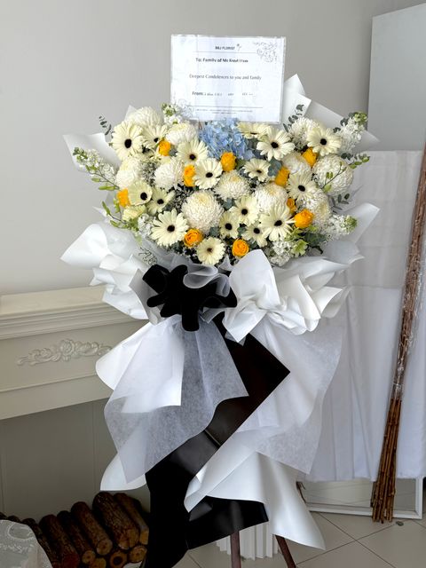 image_08945E49-2F55-4316-9CE7-B1EA99494A77_1773124767