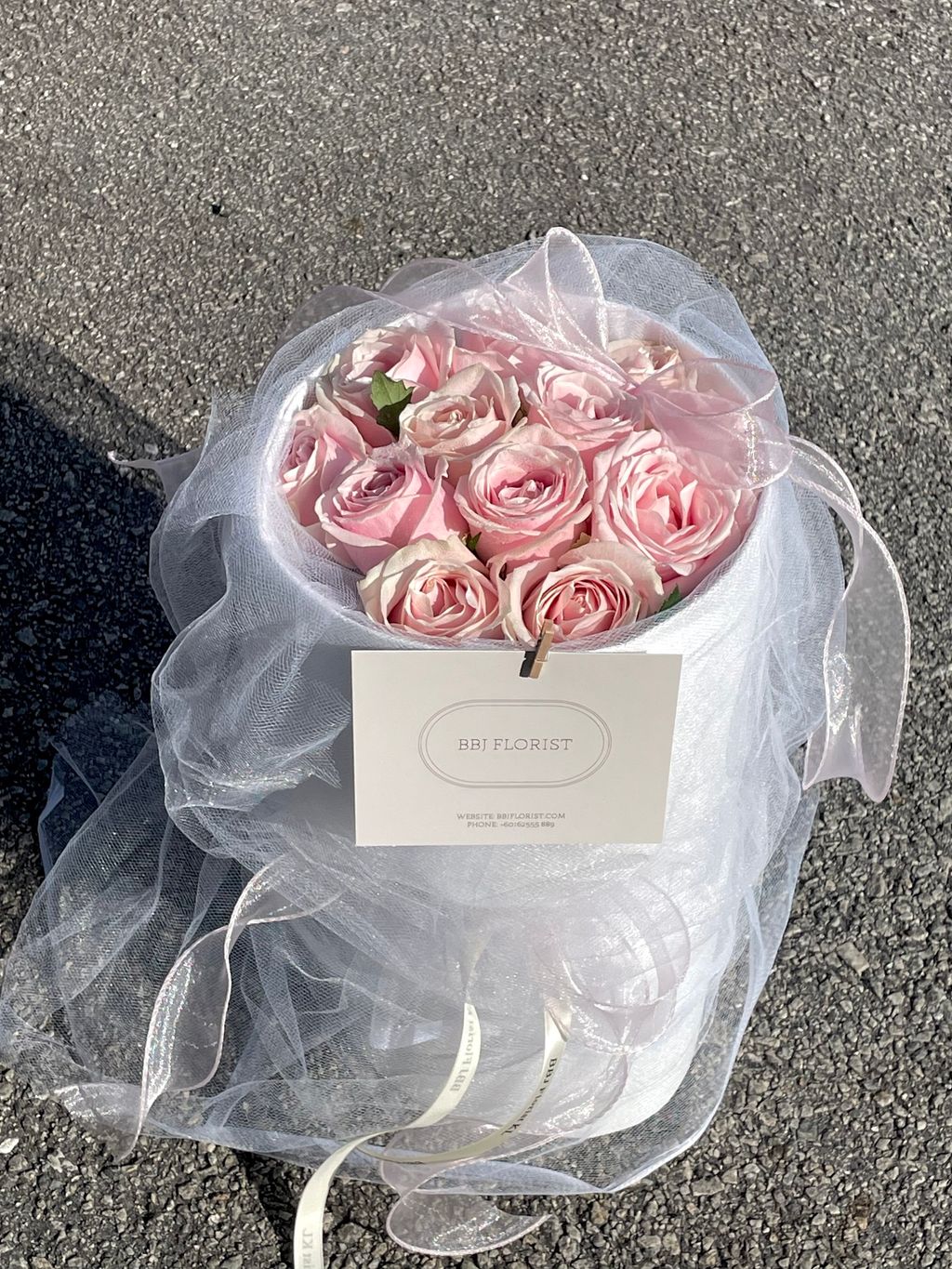 image_475C9A2D-3D2A-4521-9F01-F657D5F416E8_1763036612