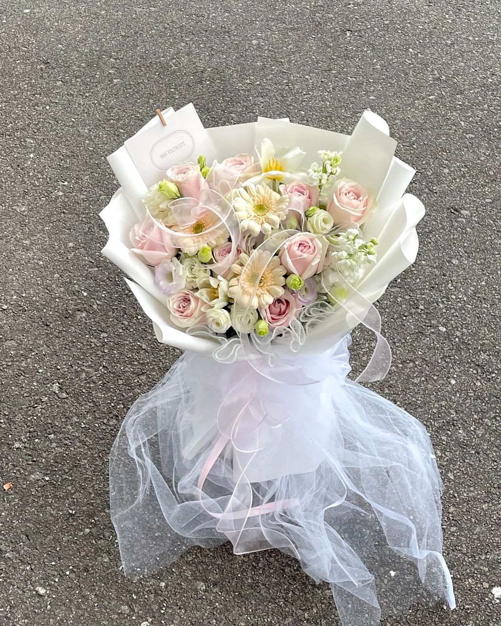 image_FC5E2321-9BA0-494E-983B-7F9D8D4EFF83_1768966352