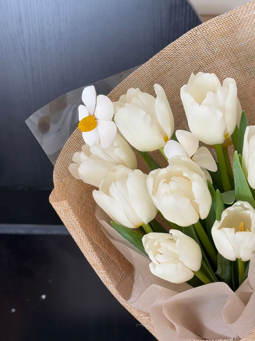 IMG_1220-1738080324785